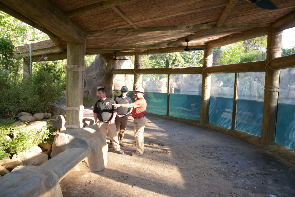Cincinnati Zoo's Hippo Cove Project Team