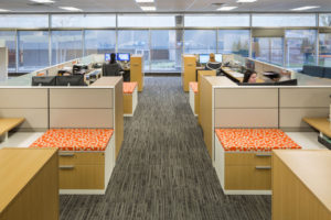 Gorilla Glue Corporate Headquarters cubicles