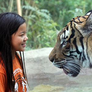 Cincinnati Zoo Girl with Tiger