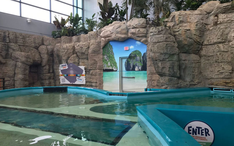 Newport Aquarium sting ray tank