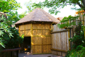 The entrance to the interior viewing area of a zoological habitat. The structure is made to look like a hexagonal hut, with large wooden beams providing framework and smaller sticks lined up to create the wall. The roof looks like hay thatching. A wall to the right is made of large wooden beams. There are lots of trees and shrubs framing the area.