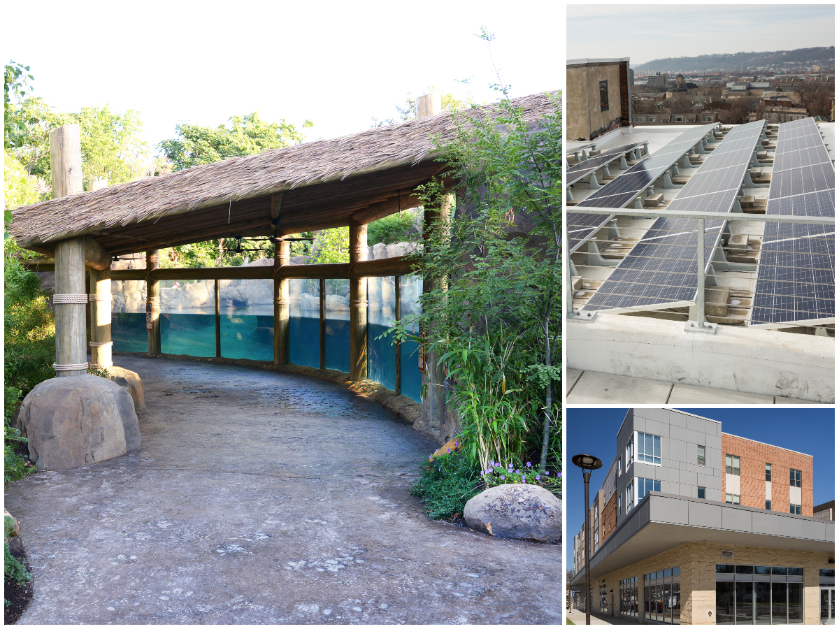 collage of LEED certified projects